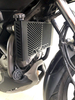 Radiator Guard