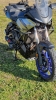CrashBars Tracer 7 